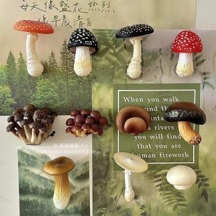 �����N���w��Ͼ����㹽Ģ�������N�����b��N����Ҿ��b�Ʒ