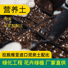 ���l����������|�����������ͨ�÷Nֲ�ЙC���ݠI�B��������̿��