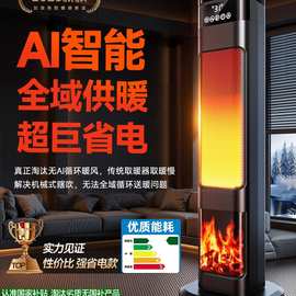 包邮家用暖风机取暖器全屋大面积节能2025新款石墨烯电暖气浴室冬