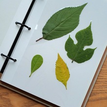 sֲͯ˱ ռԸɻ~˱ռ{ DIYĤ