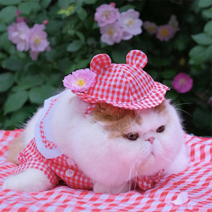 Amazon Foreign Trade Cross-Border New Pure Handmade Crochet Pet Pullover Ear Leak Woolen Hat Small Bow Tie Cloak Set