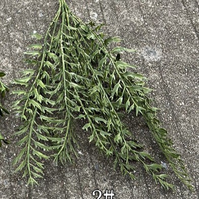 Boda suave techo planta verde techo hoja verde Mori salón de bodas decoración del Hotel Flor falsa venta al por mayor planta verde