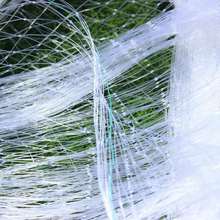 尼龙网尼龙防鸟网防雀网葡萄樱桃果园鱼塘防鸟天网户外大棚防意赛