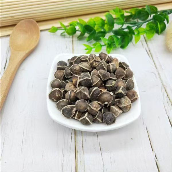 Moringa Seeds (Moringa oleifera) — La Mu Zi, Large-Grade Dried Food Herb, 500g quality and texture
