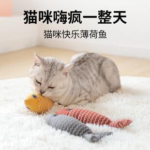 �����~����鲼�~؈����ߌ����������ĥ����ҧ�������