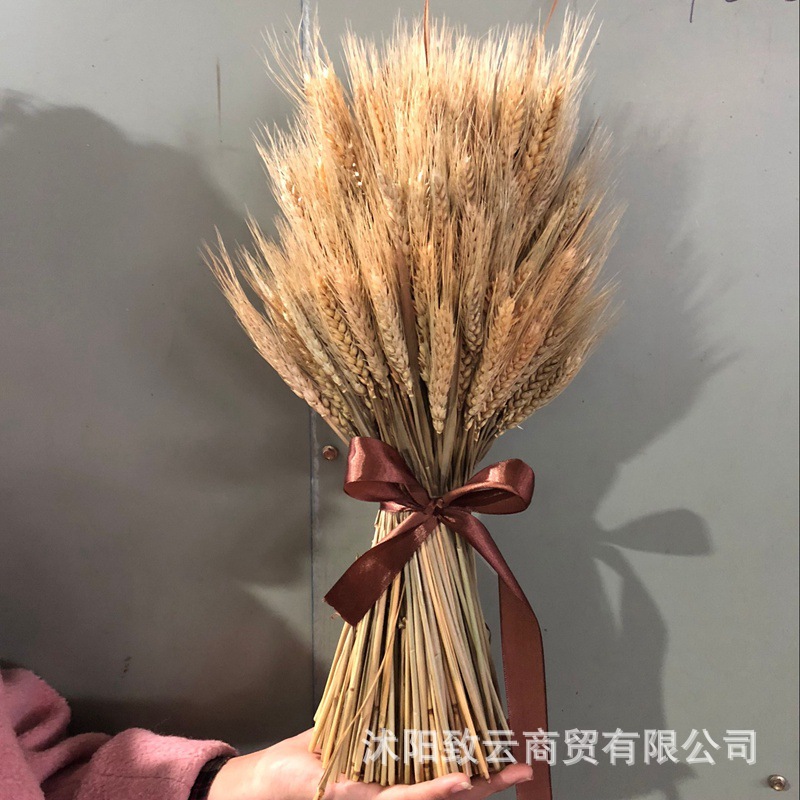 工厂批发天然原色麦穗酒店仿真花束插画开业花篮装饰大麦穗亚马逊