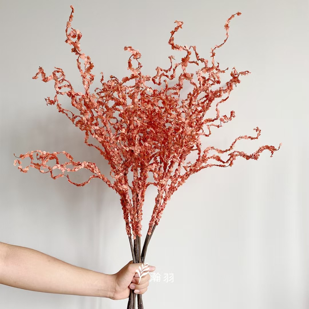 仿真柳藤枯枝 仿真枯枝壁挂装饰橱窗室内造景摆件批发树枝家居