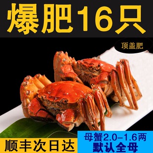 16ֻ�P�\��з�r���ش�ȫĸ2.0-1.6�ɵ���з ���ʴ��l�з�Y�а��]