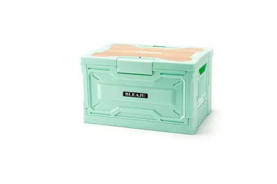 Car storage bag/box Cart, Luggage Trolley, Storage Box - light-green-22l-36x31x25