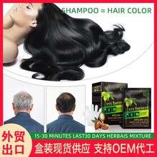 ARGAN OIL bubble hair dye 外贸跨境泡泡染发剂白转黑固色染发膏