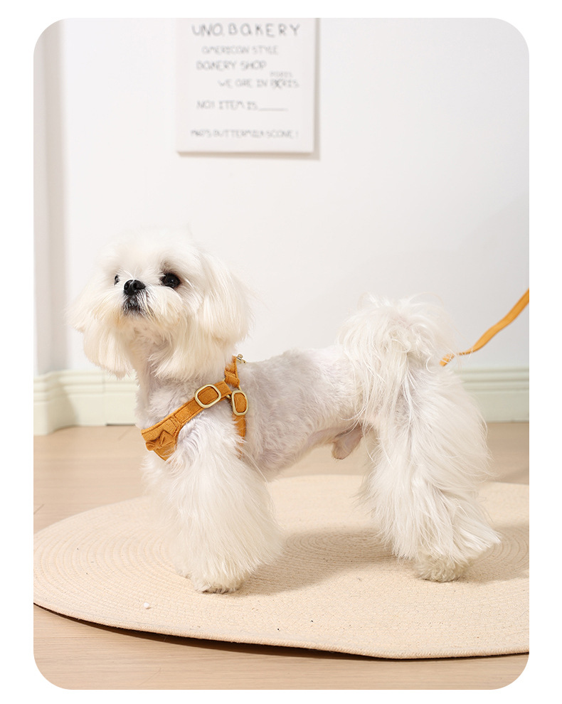 Durable Dog Harness And Lead Set With Seat Belt For Pet Safety_voghion.com
