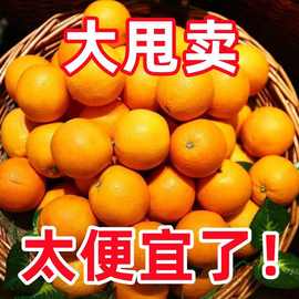 【】湖南麻阳冰糖橙薄皮橙子应季新鲜水果脐橙爱媛果冻橙批发