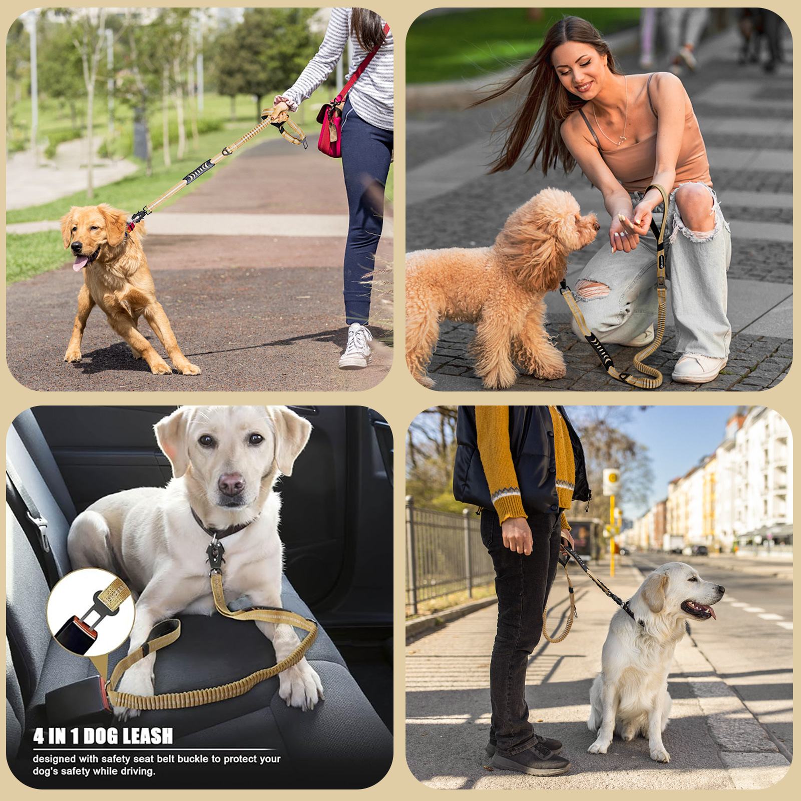 Correa de Tracción para Perro Mediano/Grande con Hebilla Rana, Táctica, Reflectante, Transfronterizo