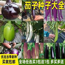 ���Ӵ�ȫ���ѷN�����Ѻ���С���Ӱ��ϟ������ӷN���ļ������߲˷N