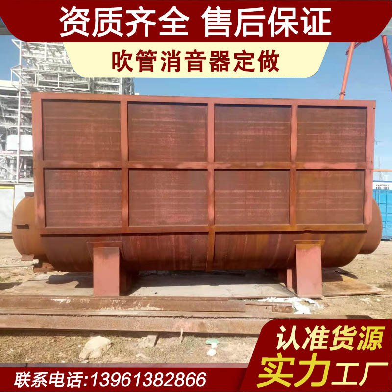 吹管消音器 吹管消声器  吹扫消音器 质量信得过厂家直销