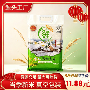 �����峣����5������b�|������5���L���׸������������׶YƷ���l