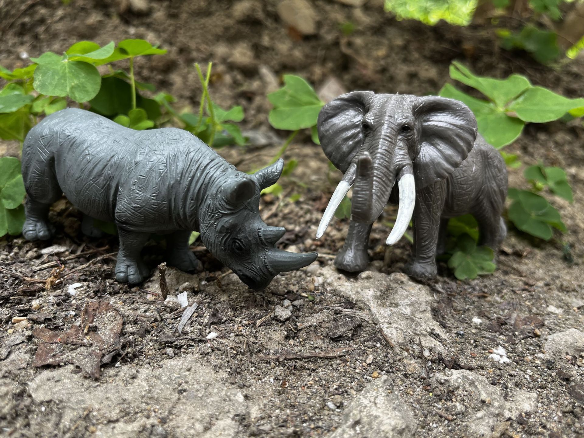 9E3E923F6067C12365F107B3B58744