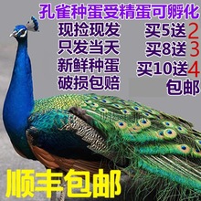 ��ȸ�N���׿�ȸ�N����ȸ�ܾ�����ȸ���{��ȸ�N������ȸ�N���ɷ���