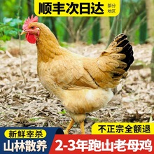 ��ĸ�u���u�r��ɢ�B�ߵ��u���u�r�屿���u��ֻ�b���r�F���������u