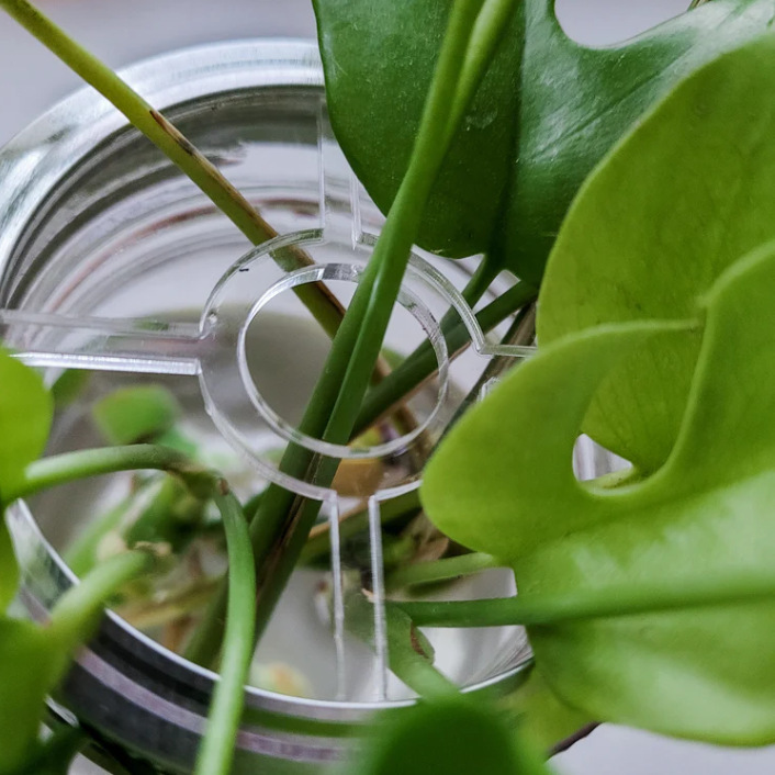 跨境 梅森罐盖插花插件简约植物繁殖透明亚克力园艺小工具2个一套|undefined