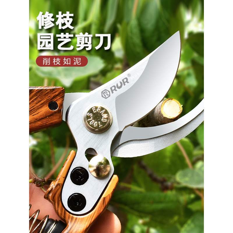 メーカー直売の剪定園芸用はさみ枝の粗い枝を切って園林の剪定をします。|undefined