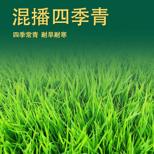 ��˾ ���l�ļ����ƺ�N�ӡ��G���첥���ѡ��G�������ݸ���é�o��