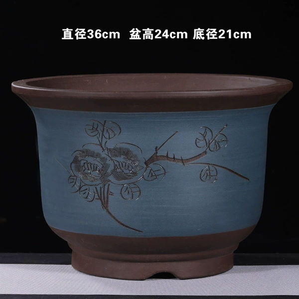 36cm blue engraved tree planting large size♜♜