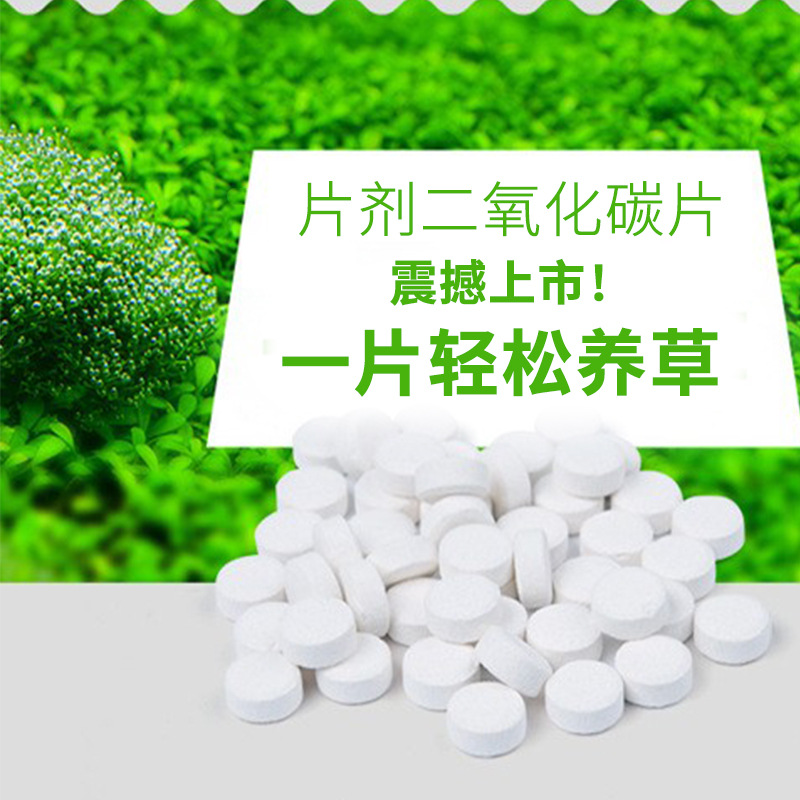 批发鱼缸造景水草水族二氧化碳片补充剂营养片水溶型水草缸CO2片
