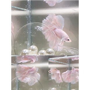 ̩�����~�鼆�~�^�p�~��ˮ�~�Ꭷ��ˮ�~���挙����w���˺��B�ͻ�