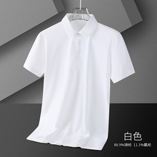 �ļ�����t����ʿpolo�����z���I��ɫ��a���e�����w��