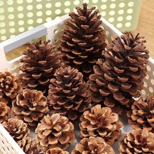 圣诞节松果树枝DIY礼物装饰野生松塔系列材料幼儿园环创木片配件