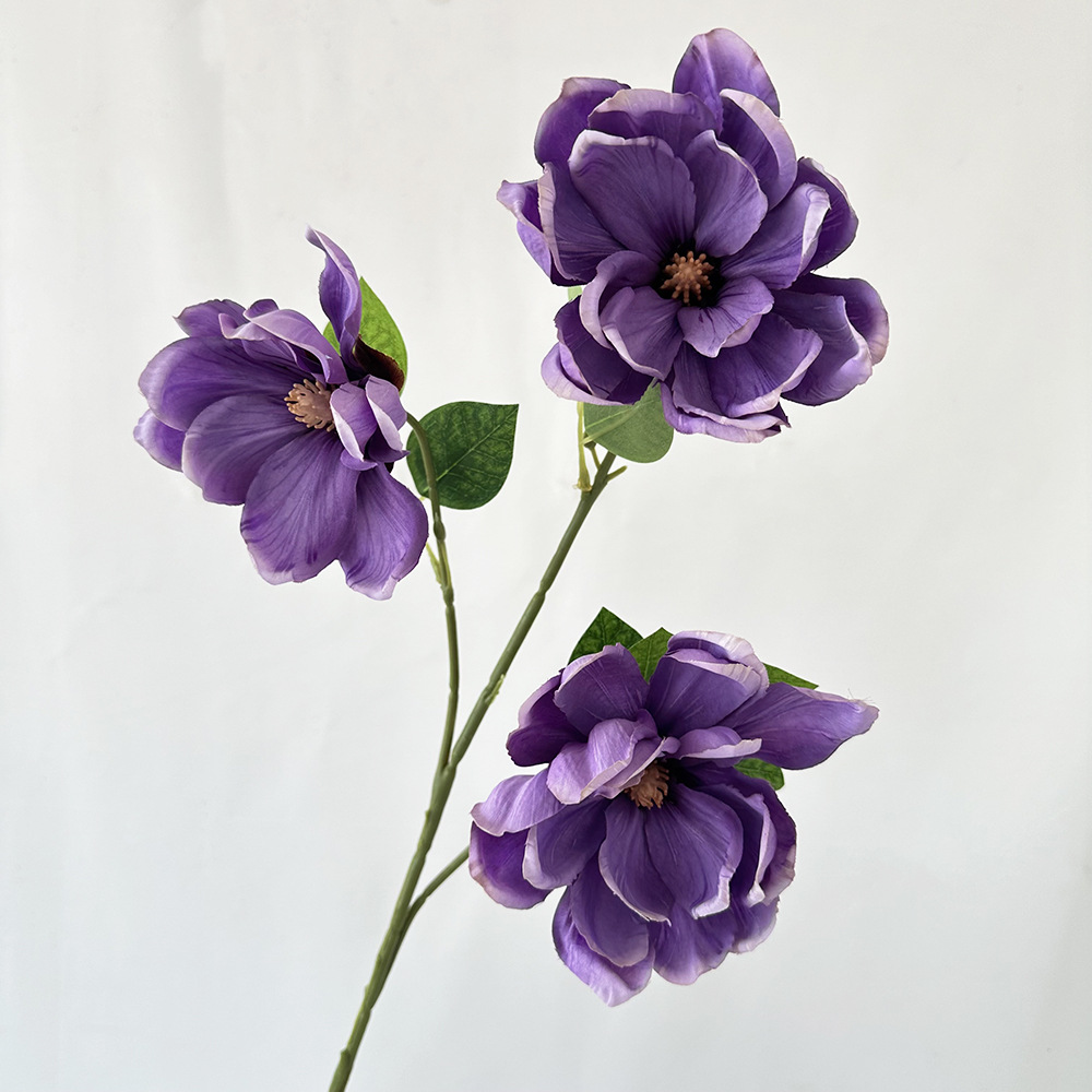 진한 보라색
