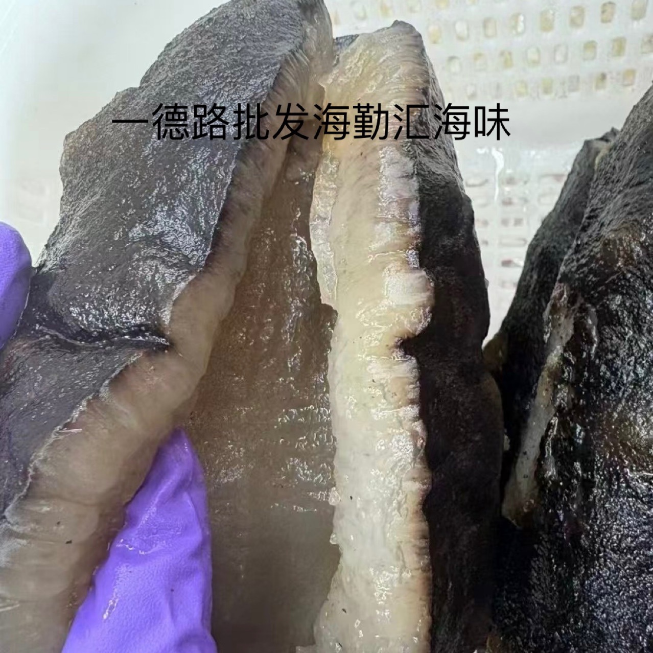 批发深海海参猪婆参黑猪婆参乌石参纯淡干海参干贷优质海鲜原产地