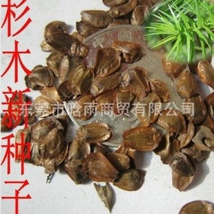 ɼľ�N��ˮɼ�N����ɼ��ɼ�N������ɼ�N�Ӵ�ɼ����ɼ��N�ӳ�ɼ��