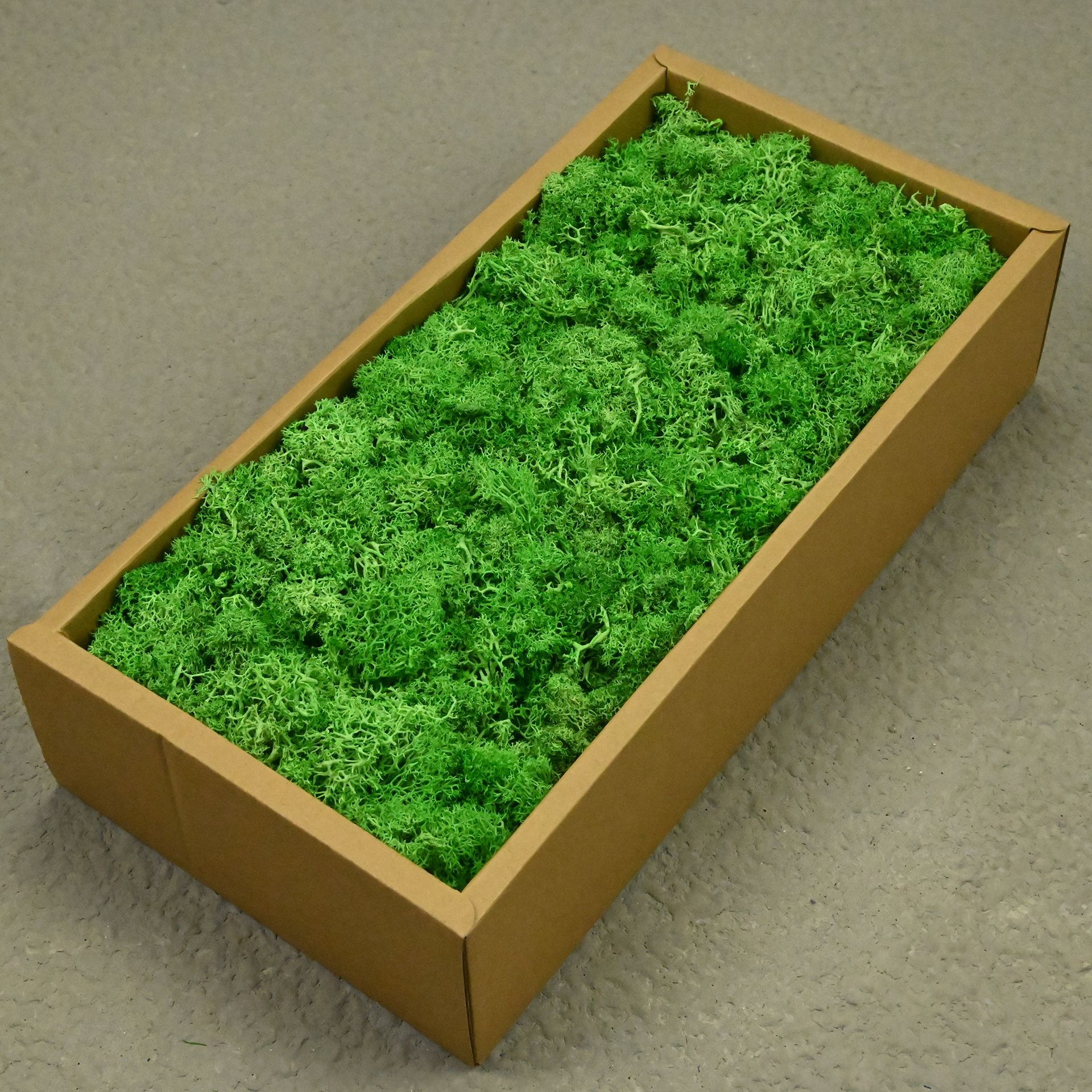 Turf