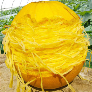 ���ϷN���＾���Ͻ�z�g�ϷN�ѽ�Ͻz�S��ϷN��ͥԺ�����߲˷N��