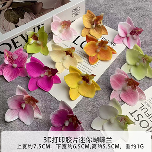 ���滨�zƬ�����m���^3d��ӡdiyˮ���Y���bٻ����仨�����