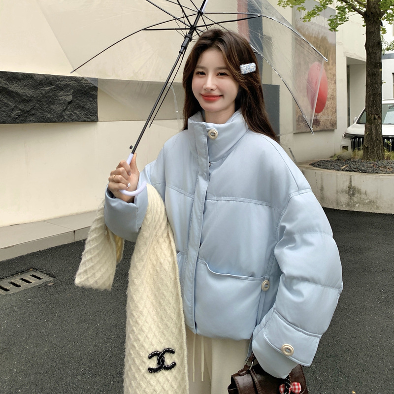 Real Shot of Light Blue Short Stand-Collar down Jacket for Women, Winter 2026 New Design, White Duck Down, Gentle Style, Warm Real Shot of Light Blue Short Stand-Collar down Jacket for Women, Winter 2026 New Design, White Duck Down, Gentle Style, Warm