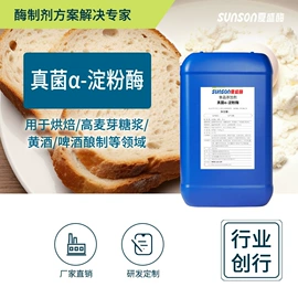 酶制剂;其他饲料添加;造纸化学品