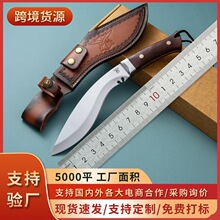 �¿���u�羳��̟��u����һ�wֱ�����gҰ�I�����S��������Ұ�I��