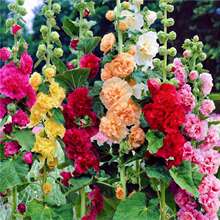 �ذ��������һ�ɼt�҉�����������޸��ͺ��͟����ջ�������N��