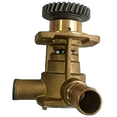 Sea water pump Water pump