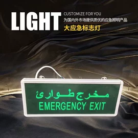 应急指示灯具