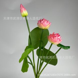 �ɻ����滨����ʽ����ɏ�����ߙn�ٻ��[���̈��廨�[�O��ˇ����