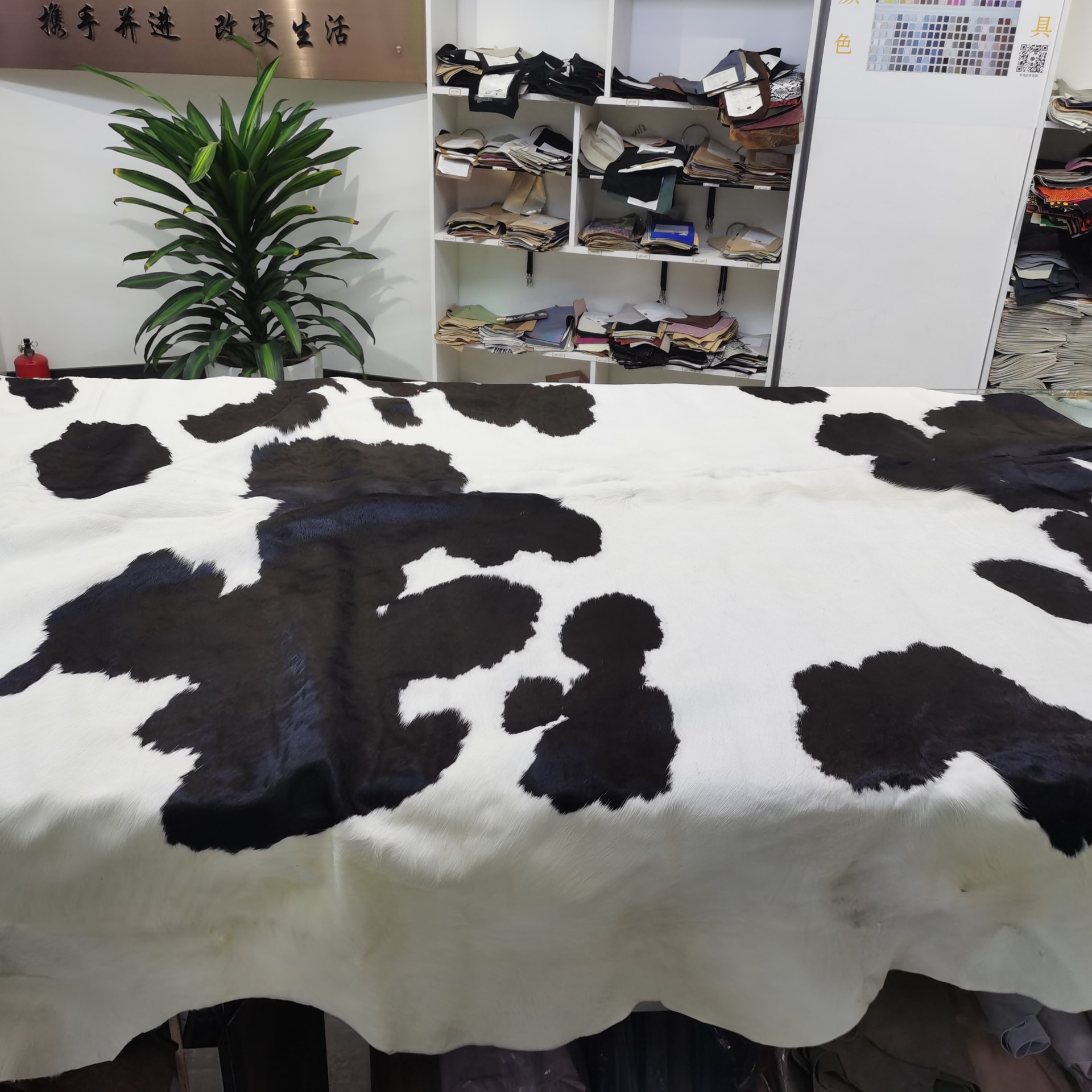 整张天然黑白纹奶牛毛毯头层长毛皮革现货鞋包服装家居面料纯牛皮