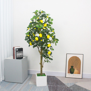 ���晎�ʘ��҃ȾGֲ���Ә����Կ͏d��ع��Ә�[���Ӽ��b�Ʒ�٘�