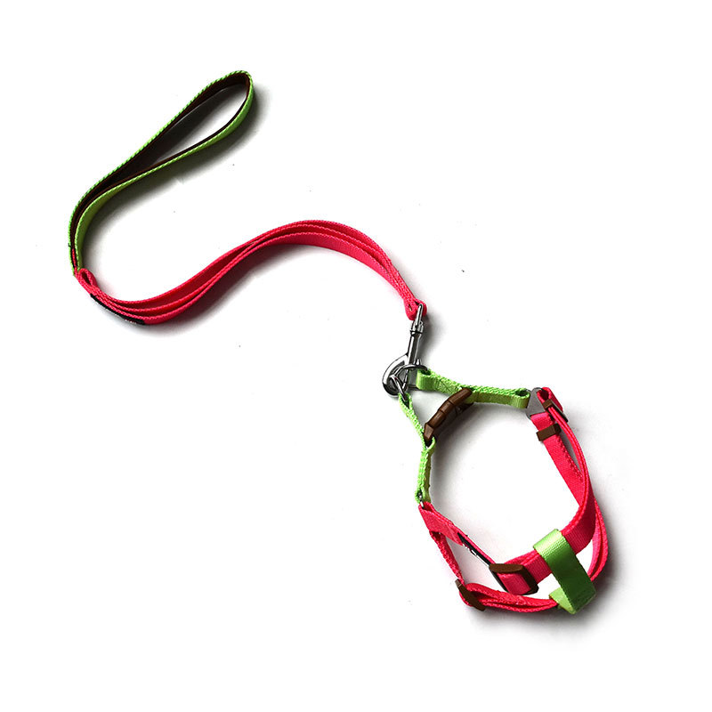 6 핑크 + 그린 (플라스틱 버클)