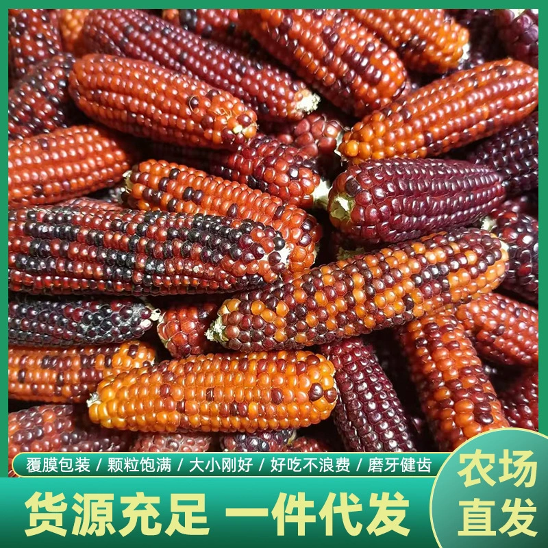 Производитель поставляет популярные мини-кормовые палочки для грызунов (хомяков, морских свинок, шиншилл) в виде кукурузных золотых медвежат и кроликов.