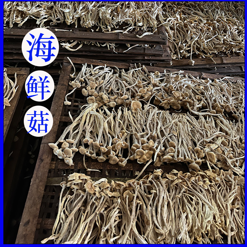 海鲜菇干货白玉菇煲汤靓汤高山种植古田产地直邮海鲜菇菌汤包