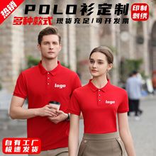 POLO䶨 ӡִlogoŮT